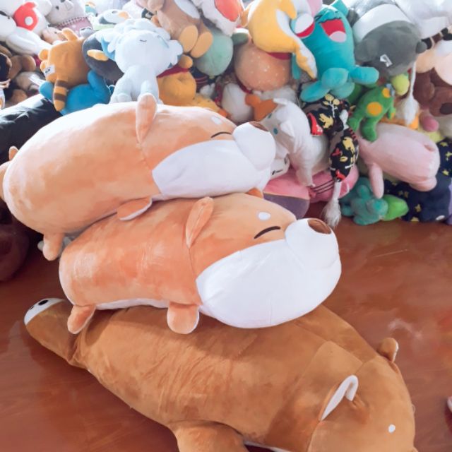 Đơn gấu bông c Nga Quynh