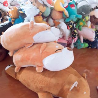 Đơn gấu bông c Nga Quynh