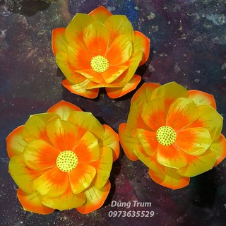 [SIÊU ĐẸP] Hoa múa biểu diễn, tổng hợp nhiều mẫu hoa