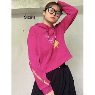 Áo Hoodie 2hand/Áo croptop/hoodie croptop/