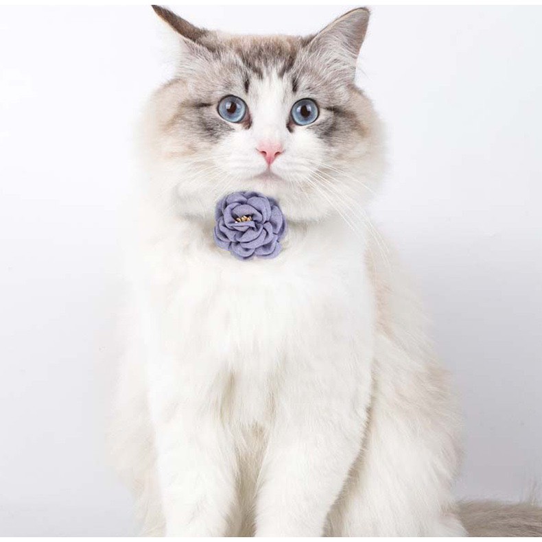 Vòng cổ hoa 3D cho Mèo siêu dễ thương