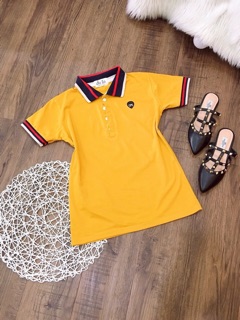 Áo thun thái cổ bẻ siêu đẹp