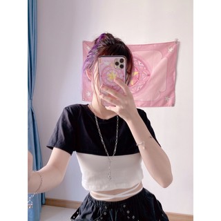 Áo cột eo phối croptop [bảng trắng phối đen và đen phối trắng]
