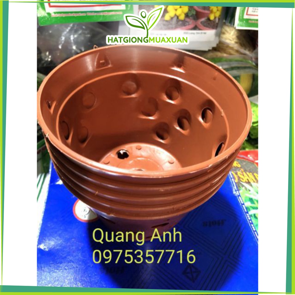 [SIEURE] 10 CHẬU NHỰA TRỒNG LAN GIẢ GỐM ĐẤT NUNG (145 x 100mm) hàng đẹp, phân phối chuyên nghiệp.