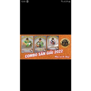 Cám chào mào lão đại- combo săn giải 2022