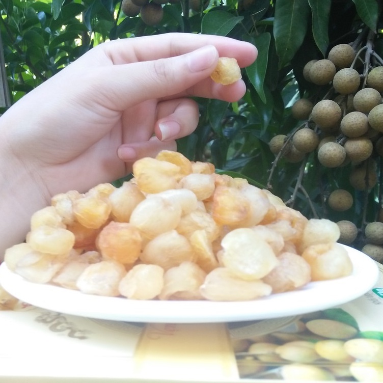LONG NHÃN SẤY DẺO KHÔNG ĐƯỜNG CHÍNH GỐC HƯNG YÊN