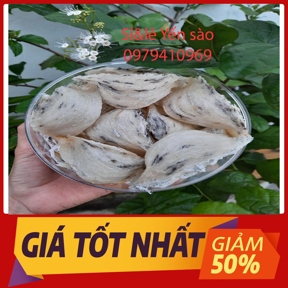 {1 lạng} Tổ Yến Sào Thô còn lông tặng táo đỏ, đường phèn, hạt chia - Yến Thô Nguyên Chất