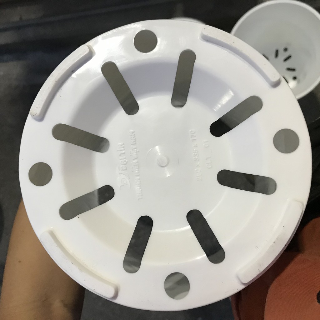 5 Chậu Nhựa Ống Giả Sứ Hoa Văn Chiếc Lá (25x33x16.5cm) bền chắc, rất đẹp và trang nhã, phù hợp hoa kiểng, cây ăn trái