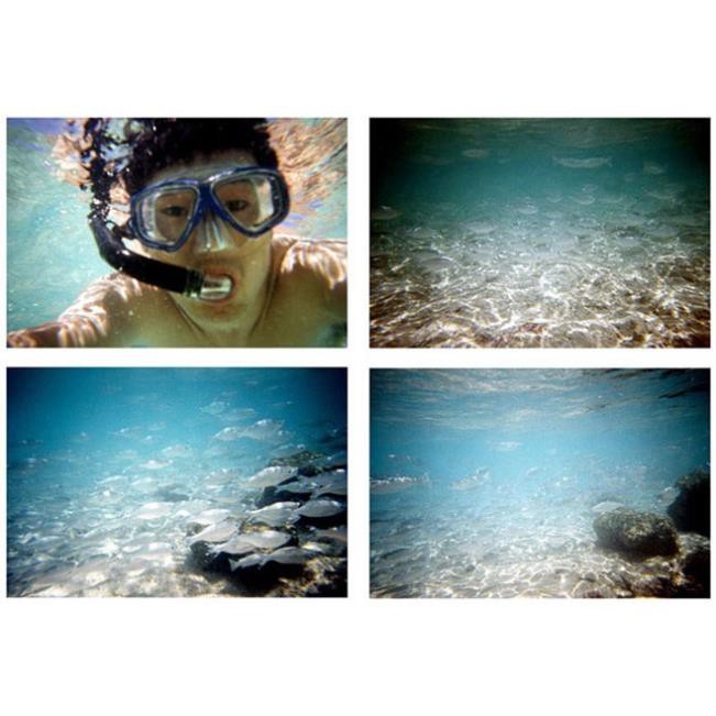 ( SLN 9 ) ( SLN 8 ) [Màu trơn] Máy ảnh FILM LOMO Underwater chụp được dưới nước (Sẵn hàng, Được chọn màu)