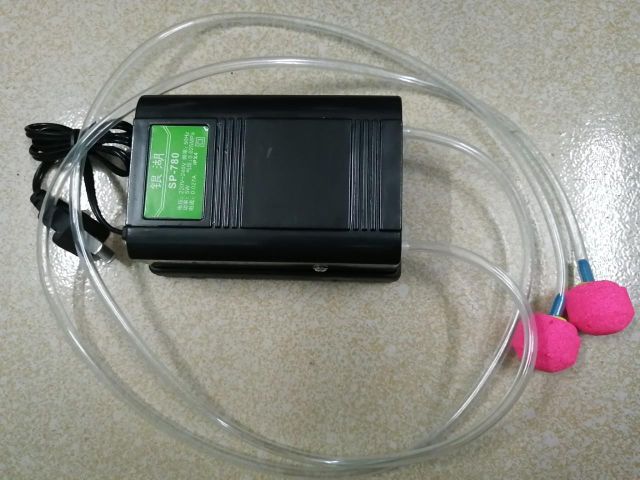 SỦI OXY BỂ CÁ 2 VÒI