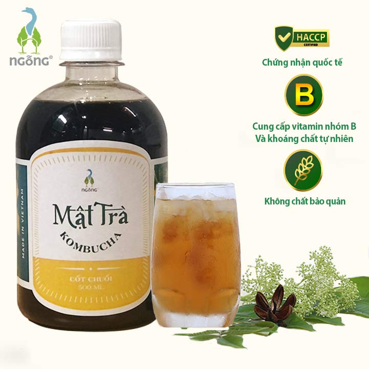 Mật Trà Kombucha Cốt Chuối 500ml- Không Đường Tinh Luyện