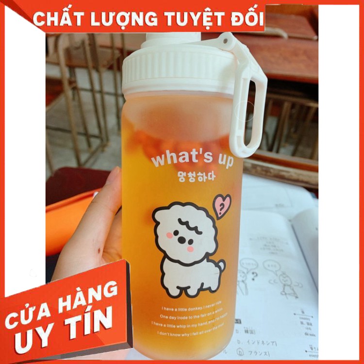 [Hàng Cao Cấp] Kỷ tử đỏ, hắc kỷ tử 100g dùng thử kỷ tử hàng loại 1-Dược Liệu Quý Món Quà Thiên Nhiên