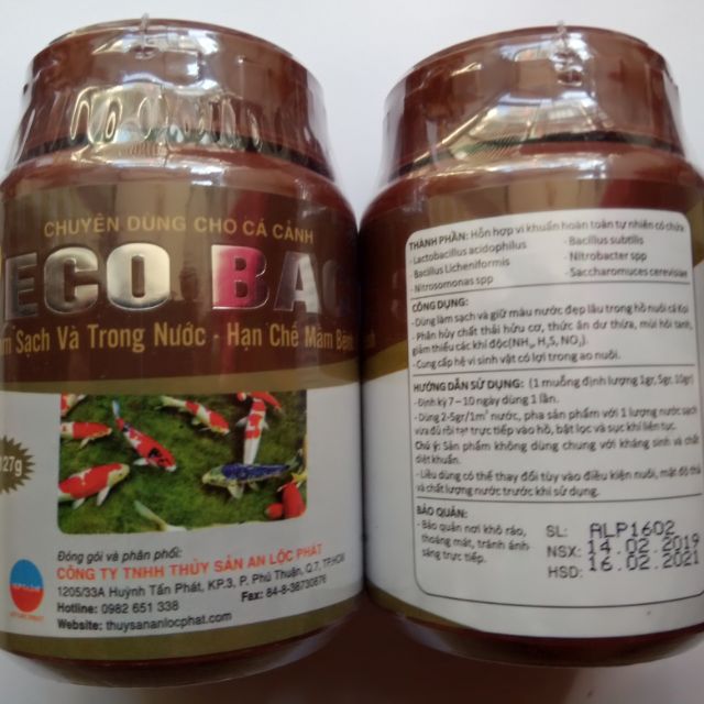 MEN VI SINH ECOBAC là xử lý nước trong.