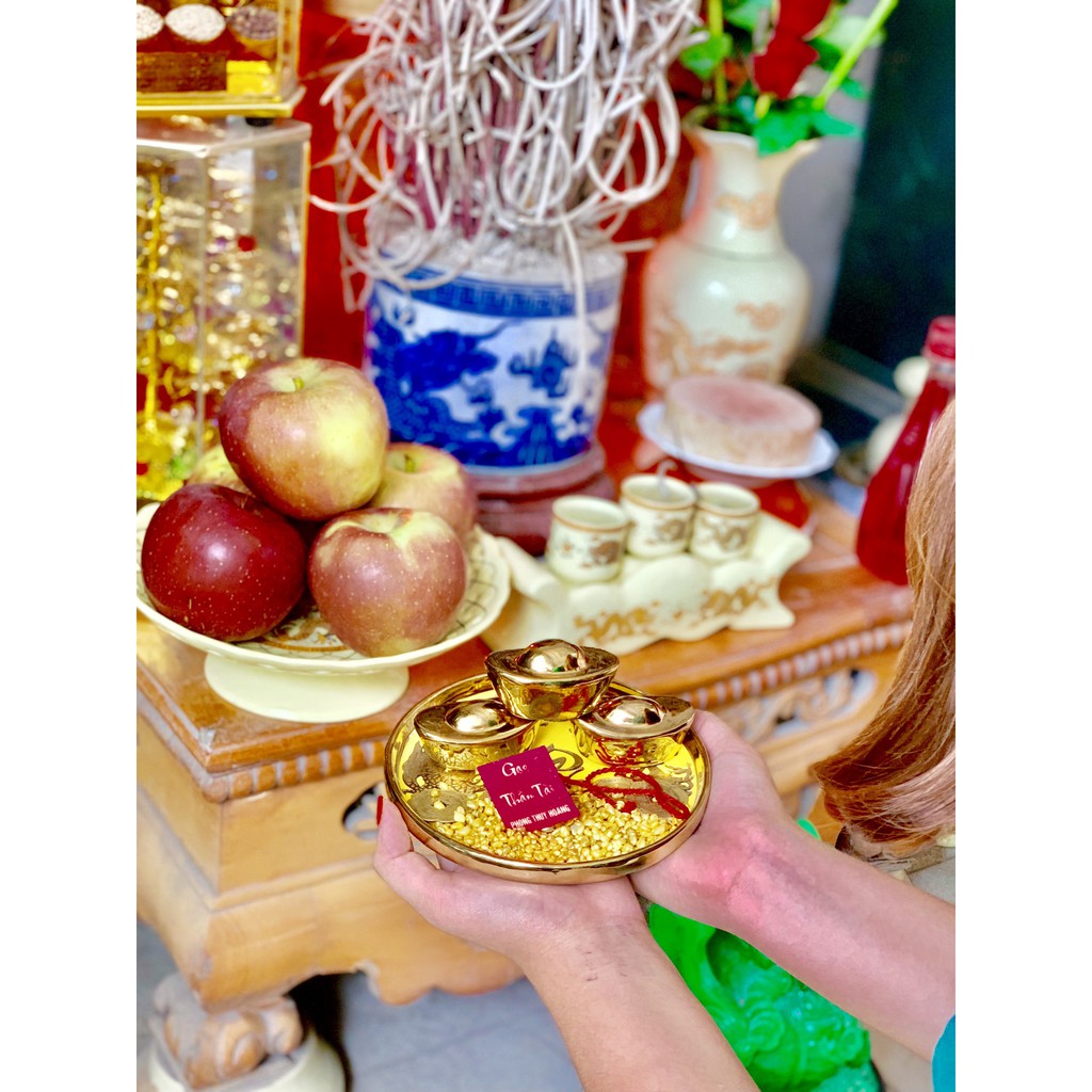 COMBO HÚT TÀI LỘC ĐÃ THỈNH LỘC | BigBuy360 - bigbuy360.vn