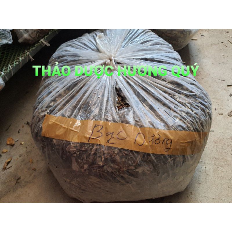 CÂY BẠC THAU KHÔ THÔNG TIỂU TIỆN (1KG)