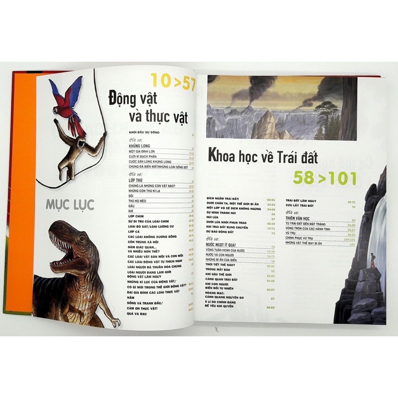 Sách - Bách khoa thư thế hệ mới (Nxb Kim Đồng)