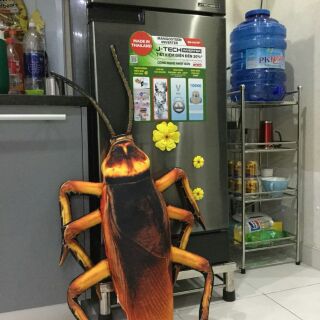 Gối ôm 3d con gián 30× 70cm