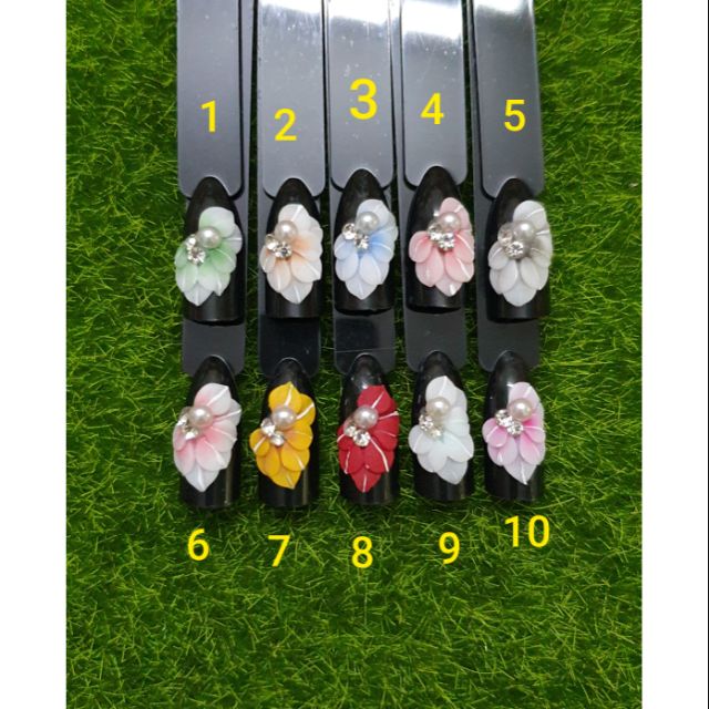 HOA BỘT GẮN MÓNG - HOA NỔI