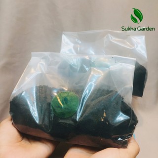 Đất Thịt Trồng Cây Túi 500g Trộn Dinh Dưỡng Diệt Trùng Chuyên Dùng Cho Rau Củ Quả Và Cây Cảnh