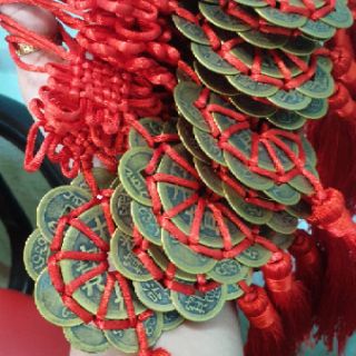 Hoa mai kim tiền