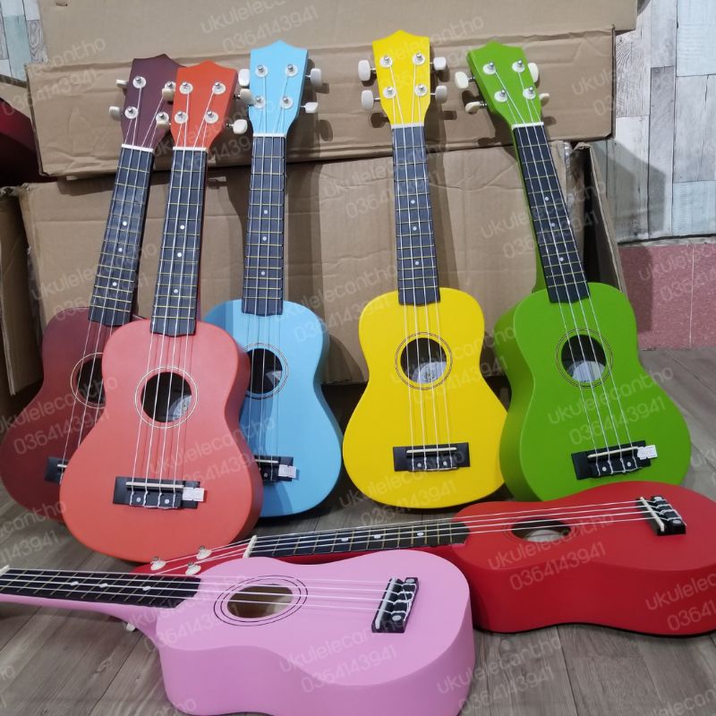 Đàn ukulele 53cm sơn màu hàng Loại 1 Dễ Bấm cho Người Mới tập đàn