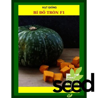 Hạt Giống Bí Đỏ Tròn F1 - 2G