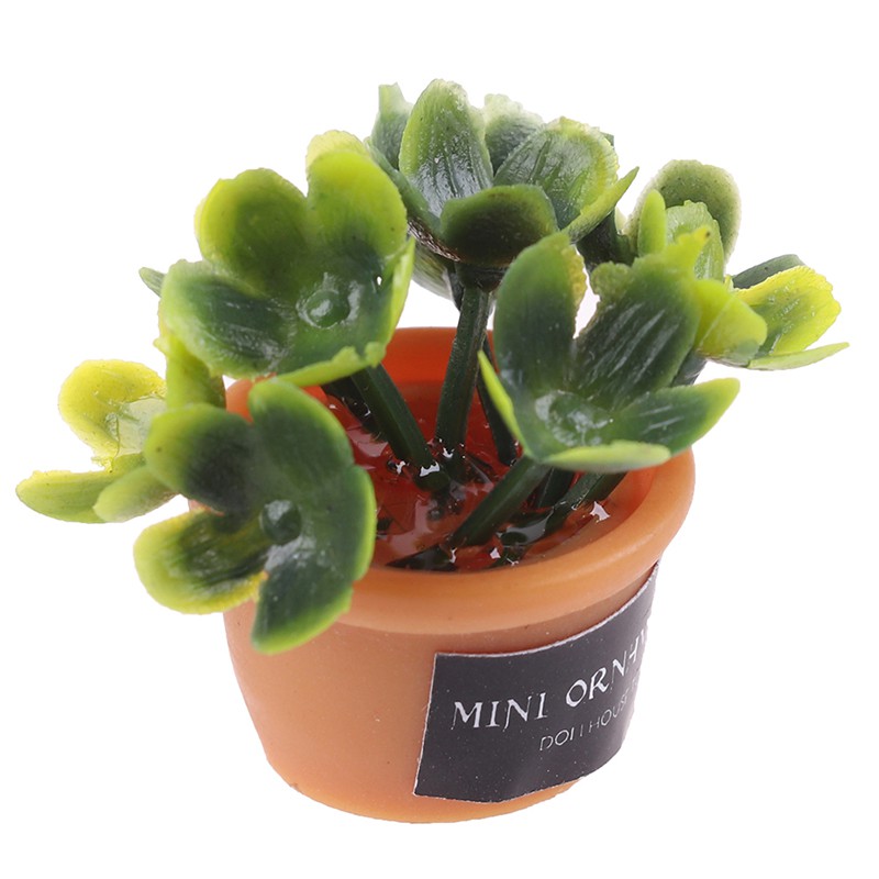 Bộ 4 Chậu Cây Mini Trang Trí Nhà Cửa