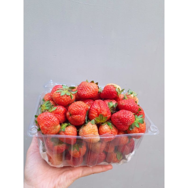 Hộp 3kg dâu tây Mỹ đá Size NHẤT nhà trồng