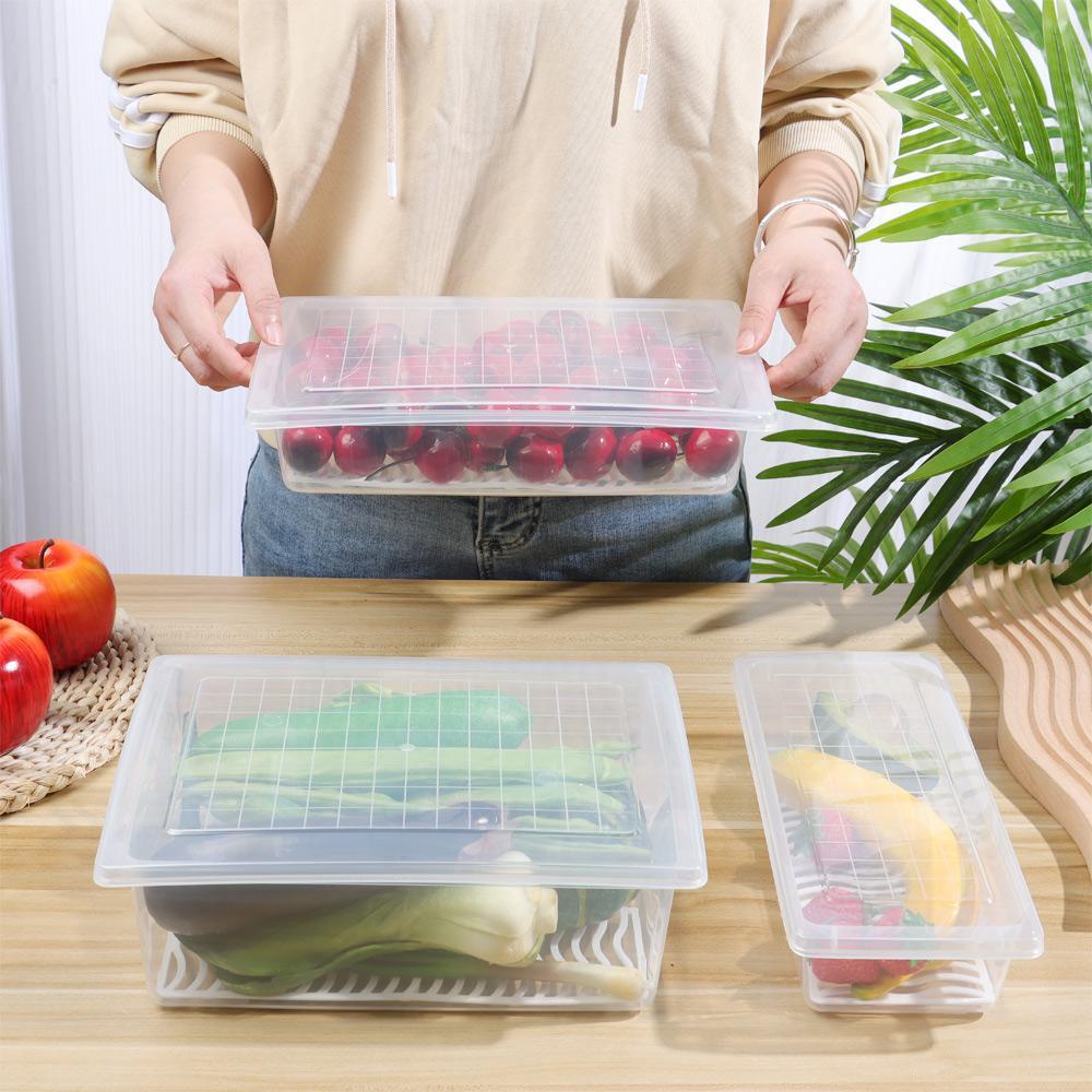 Hộp Nhựa Trong Suốt Đựng Thực Phẩm Để Tủ Lạnh Tiện Dụng