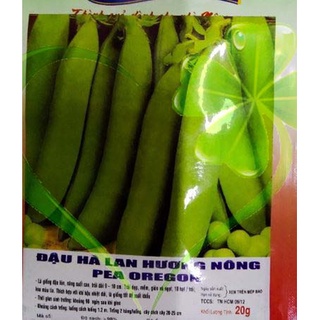 HẠT GIỐNG ĐẬU HÀ LAN - GÓI 20 GRAMMS626