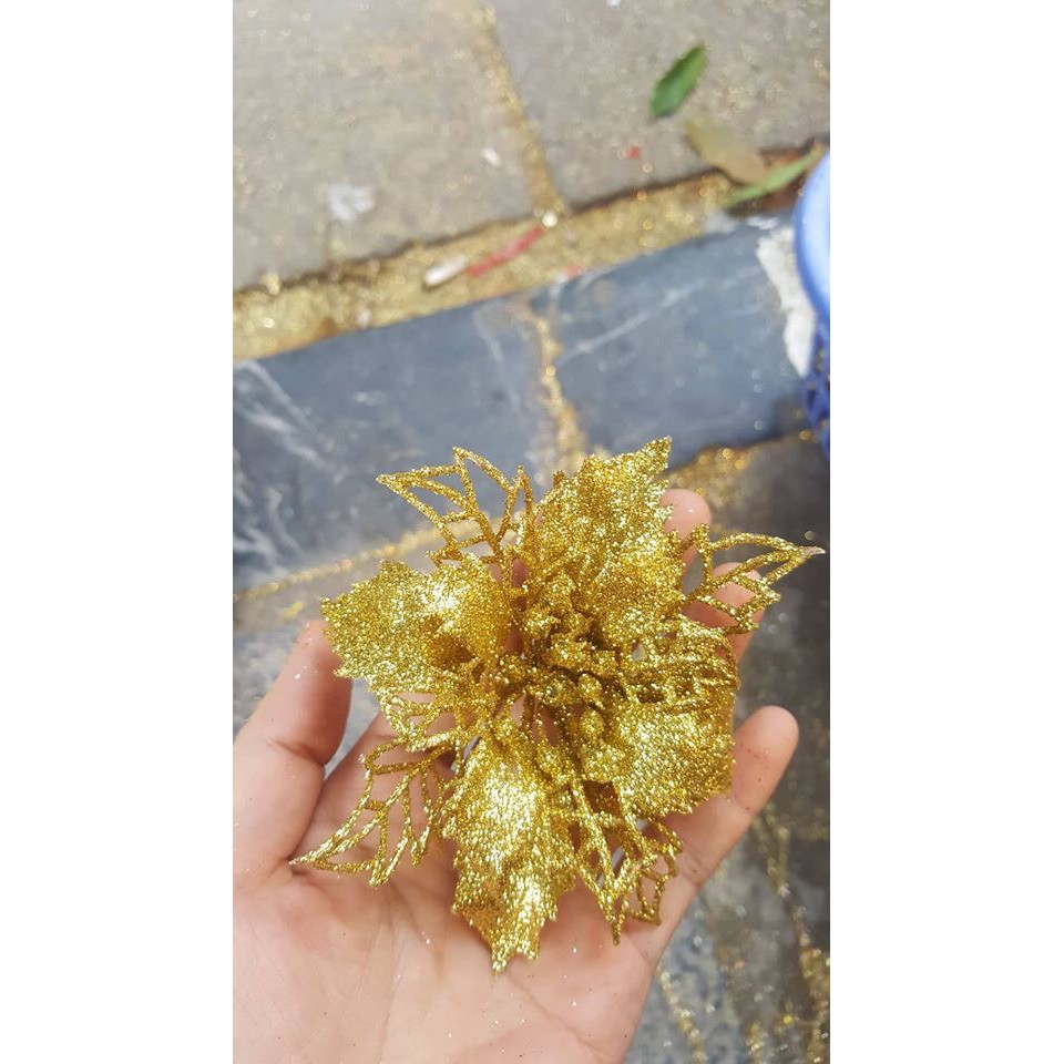 HOA TRẠNG NGUYÊN NHỎ TRANG TRÍ OẢN TẾT
