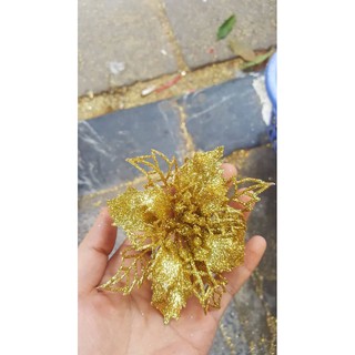 [Gía sỉ] HOA TRẠNG NGUYÊN NHỎ TRANG TRÍ OẢN TẾT