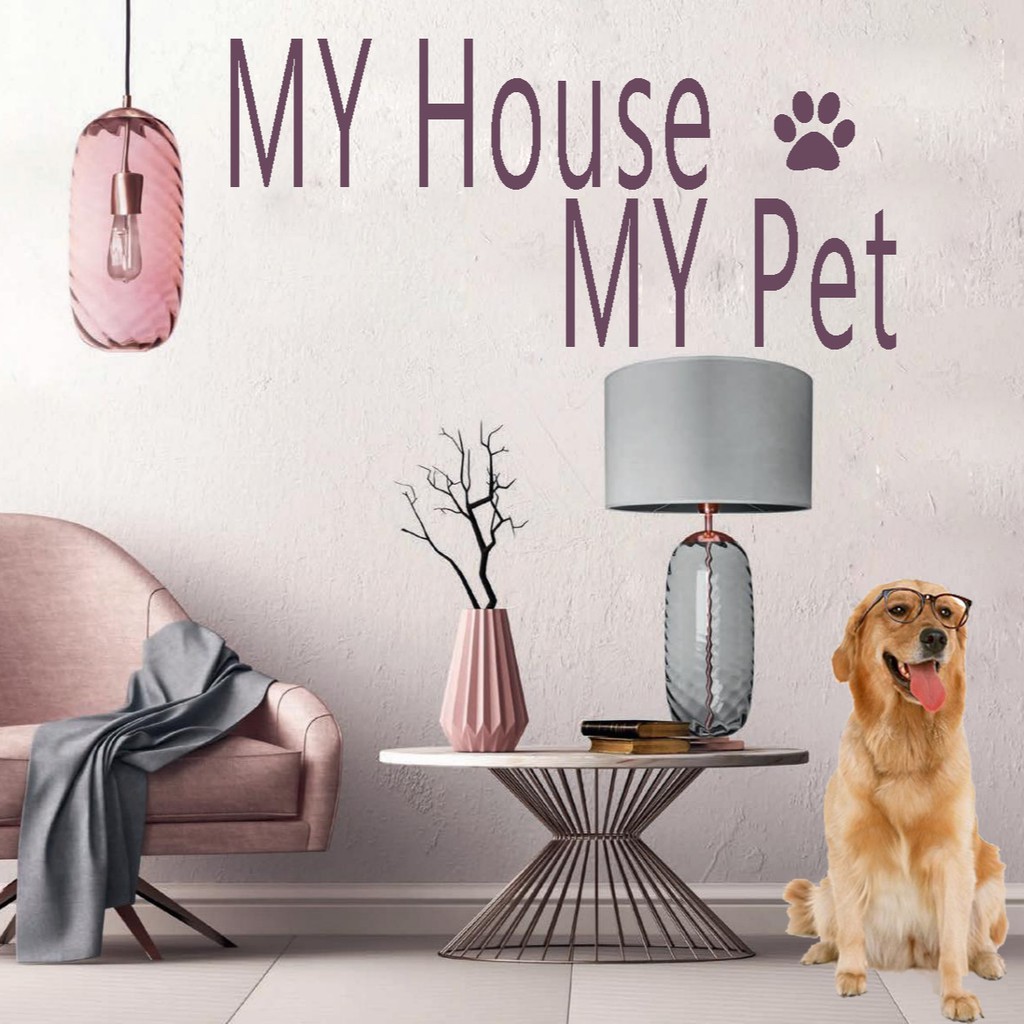 My House My Pet