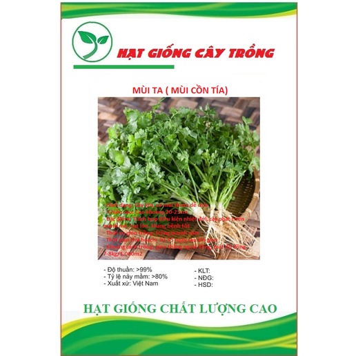 Hạt giống rau mùi cồn tía ( mùi ta ) CT139 - Gói 20gram