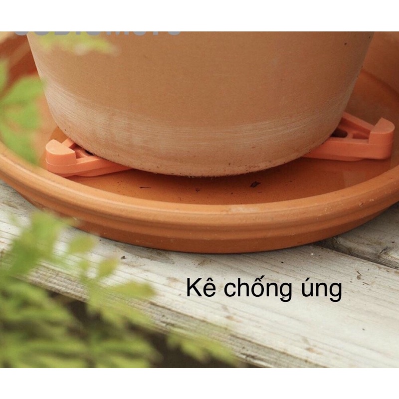 12 miếng kê chậu chống úng