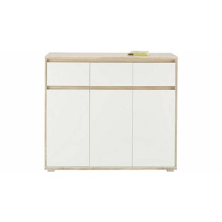 Tủ giày & tủ đa năng d120, c100, r32