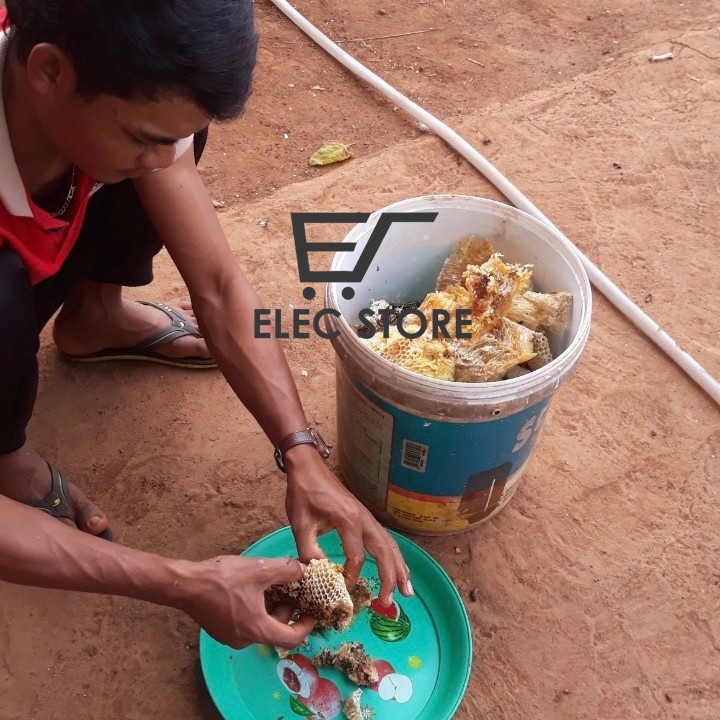 MẬT ONG RỪNG XỊN 100% MÙA 2019