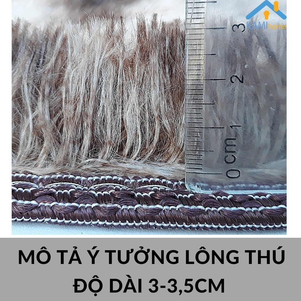 Thảm lông chụp ảnh và trải sàn Chữ nhật 58*40c lau chùi chân mã 27005