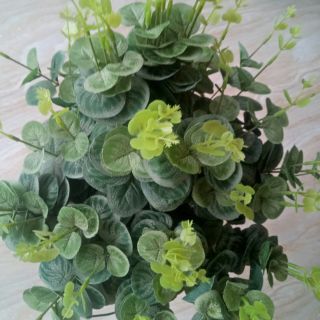 Cành Lá Táo-16 nhánh. (Lá Dolar) hoa lụa