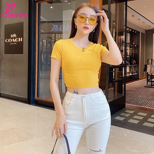 [Mã BMBAU50 giảm 7% đơn 99K] Áo thun nữ croptop THỎ TÂY cổ tròn nhiều màu siêu xinh THỎ TÂY B280 | BigBuy360 - bigbuy360.vn