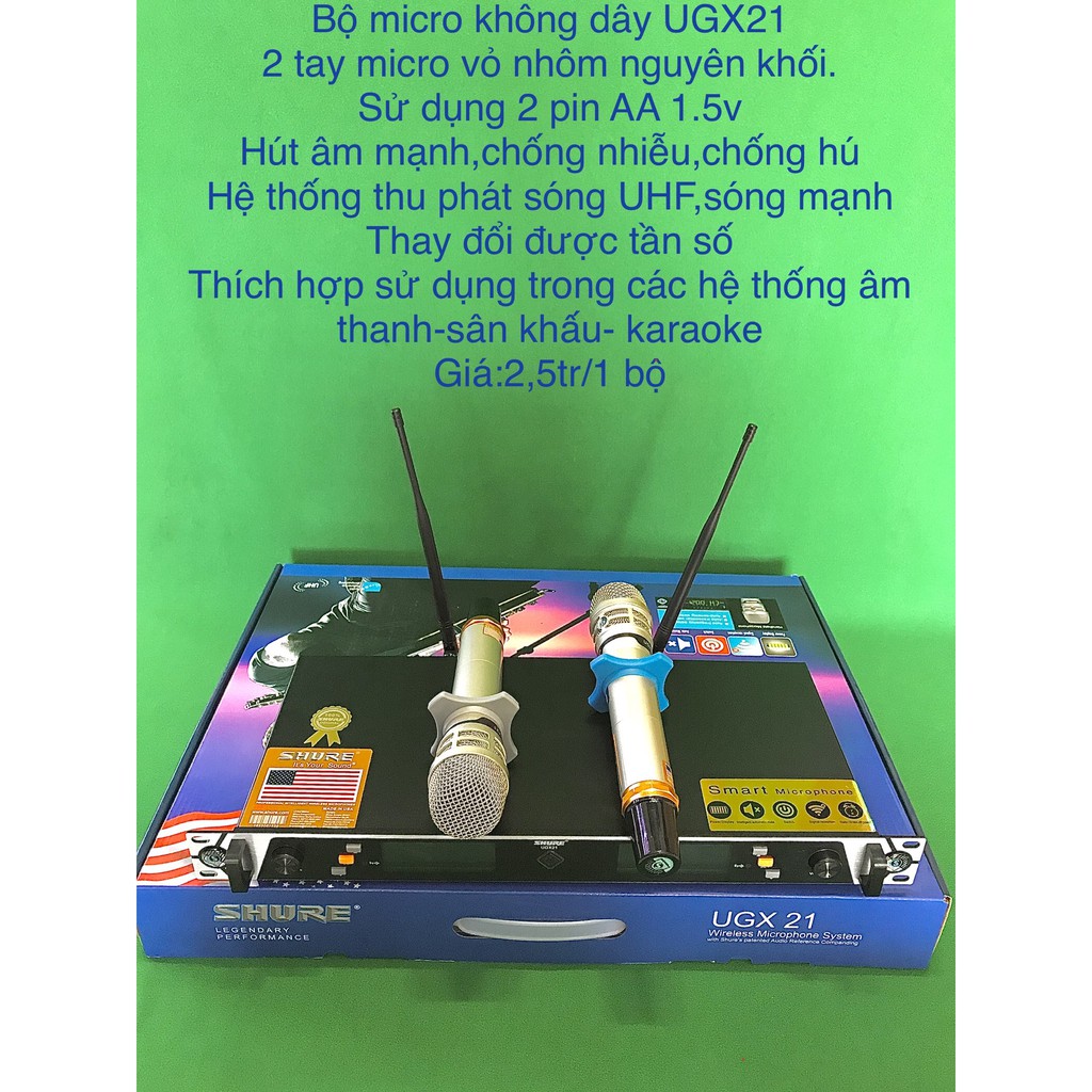 Bộ micro không dây UGX21