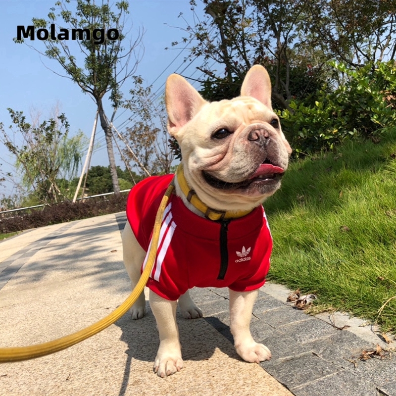 MOLAMGO  Áo Thun Kẻ Sọc Ngang Thời Trang Đa Dạng Màu Sắc Cho Thú Cưng