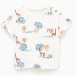 Set bộ bé trai zara hình thú