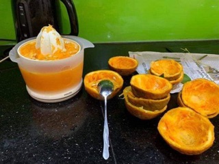 Máy vắt cam Henske