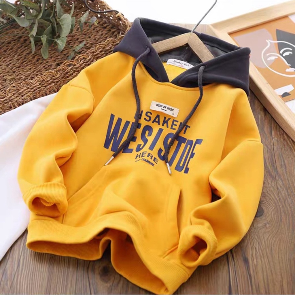 Áo khoác bé trai áo hoodie cho bé trai bé gái size đại từ 6 - 65kg chất nỉ bông WESISTDE