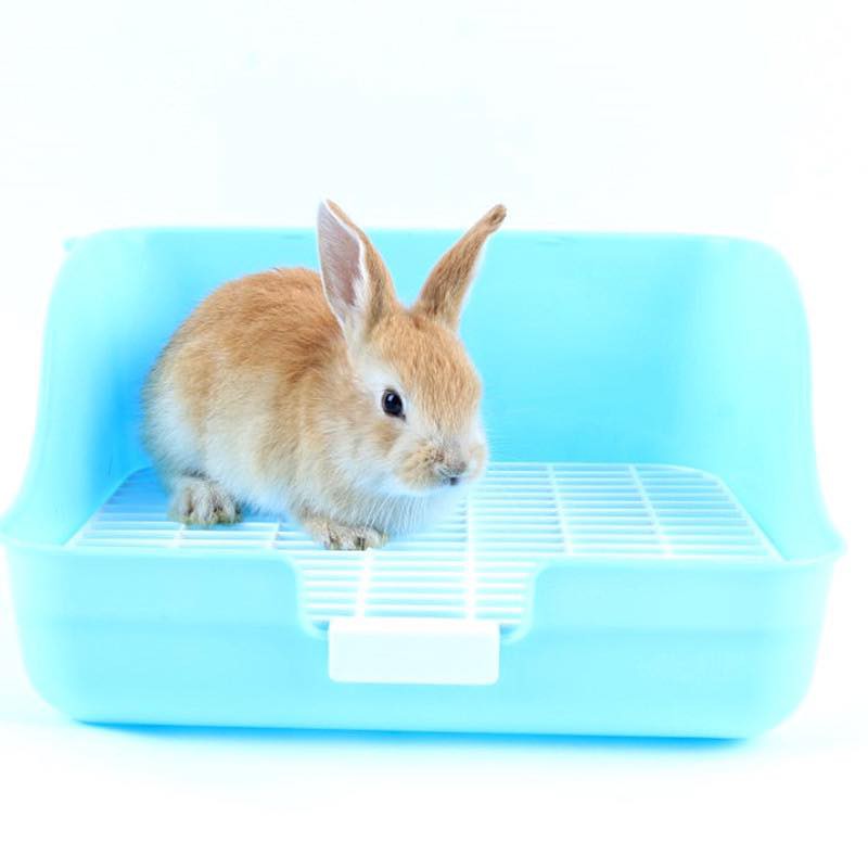 khay vệ sinh chữ nhật dành cho thỏ bọ