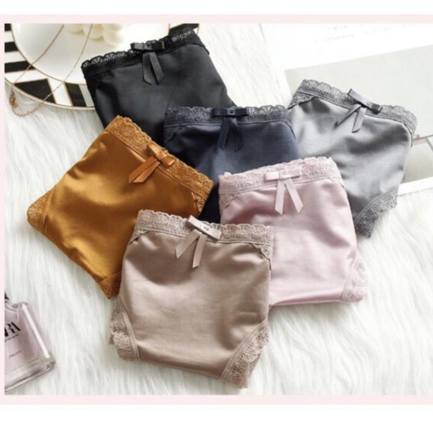 Quần lót lụa lạnh Fabic cao cấp thông hơi, Quần lót nữ tàng hình kháng khuẩn ren sau Sexy QL226