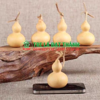 Bầu hồ lô phong thủy vàng tự nhiên.hàng còn cuống