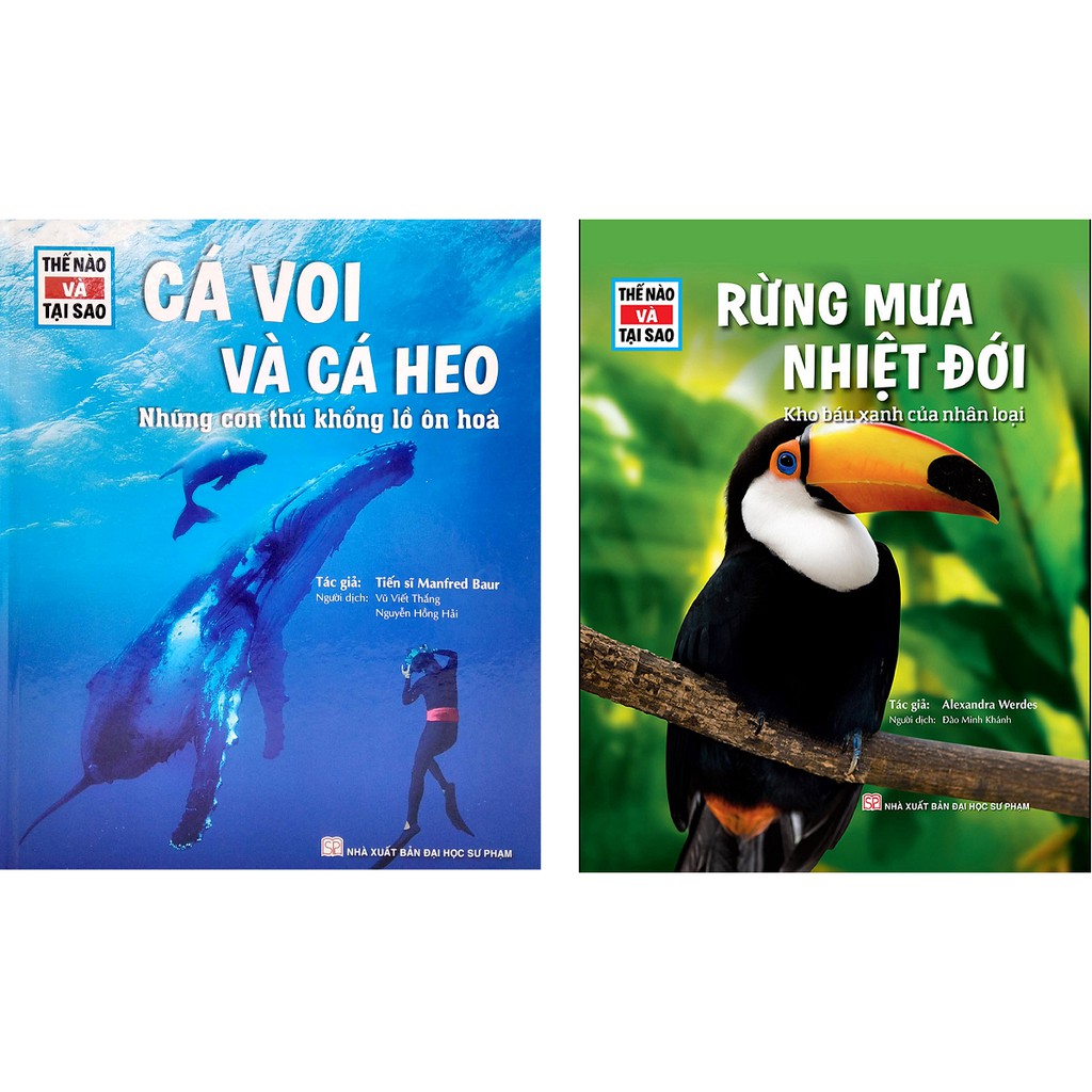 Sách - Thế Nào Và Tại Sao - Rừng Mưa Nhiệt Đới: Kho Báu Xanh Của Nhân Loại