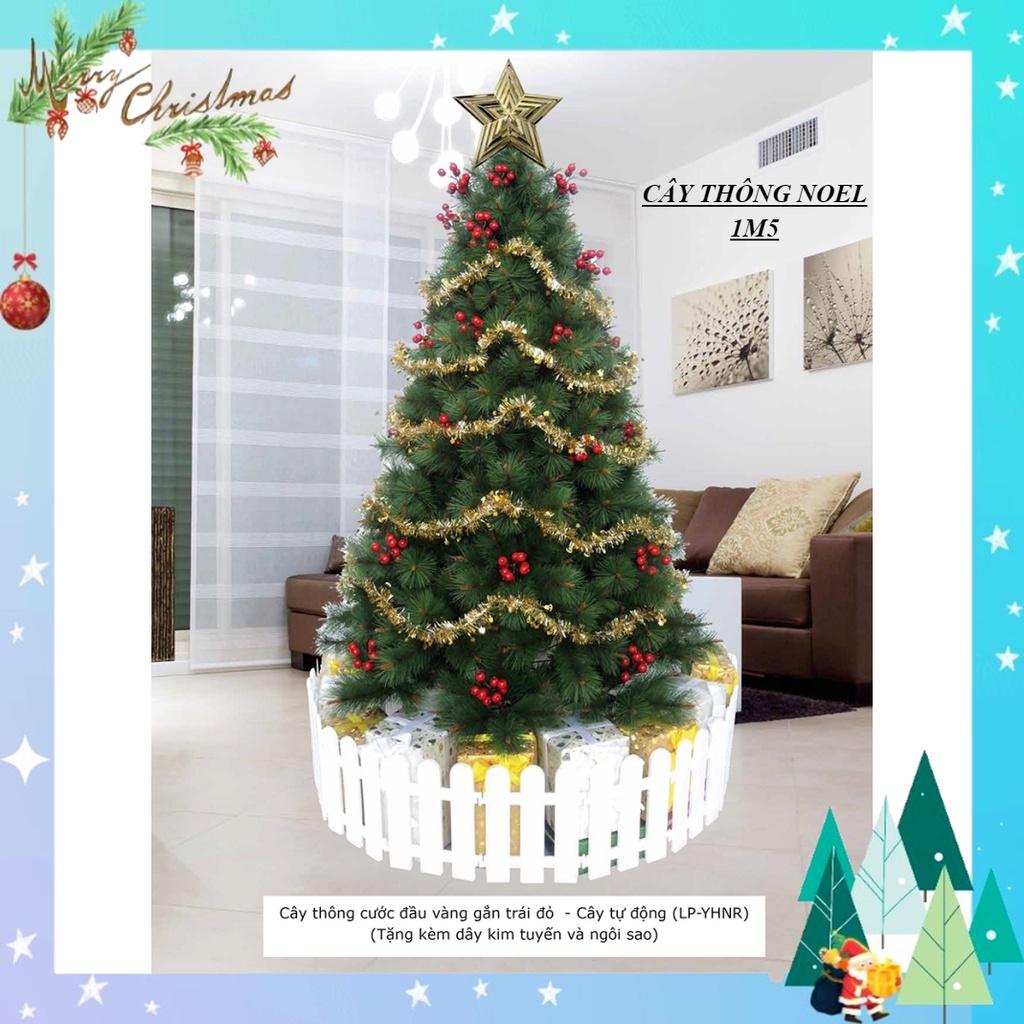 Cây thông noel 1m5, cây thông noel cước đầu vàng gắn trái đỏ 1m5 - cây tự động xòe cành trang trí giáng sinh